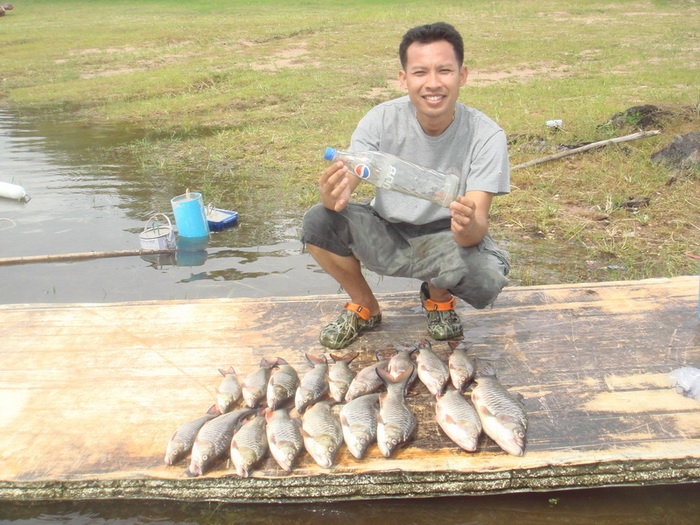ตัวนี้โทรฟี่ของอาจารย์ต่ายครับ :laughing: :laughing: :laughing: :laughing: :laughing: