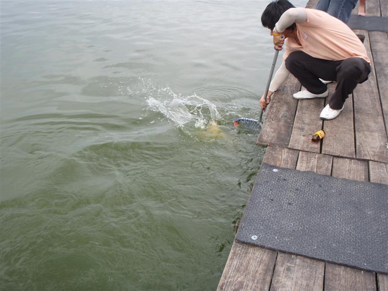 [q][i]อ้างถึง: Wit-RAW_Company posted: 05-07-2553, 14:13:06[/i]

[q][i]อ้างถึง: Mong_Actionlure po