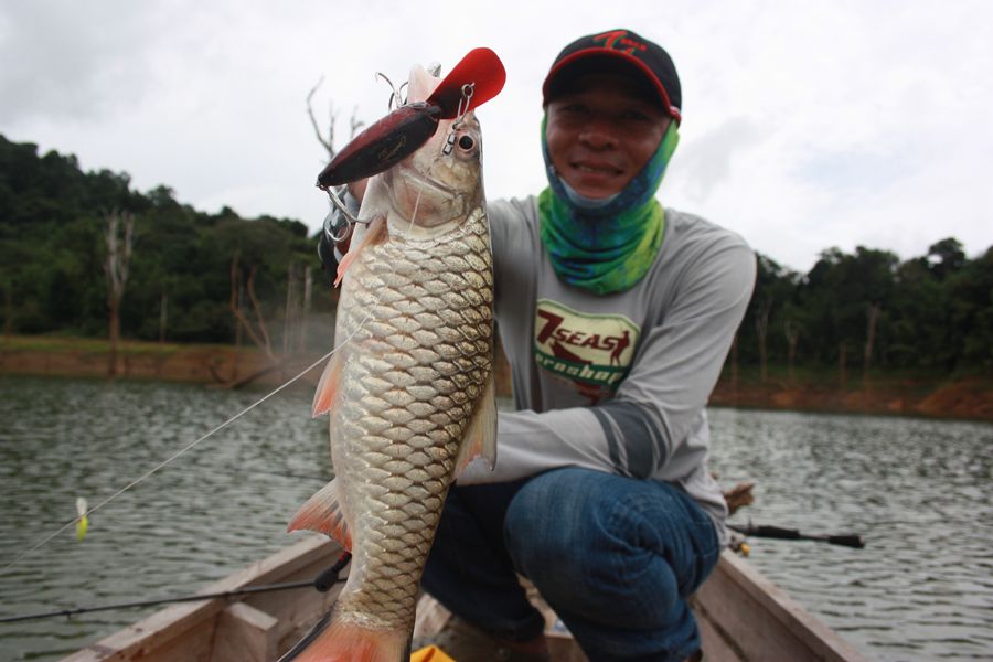 [q][i]อ้างถึง: nutmanslim posted: 05-07-2553, 16:24:30[/i]


+ ครับ สุ