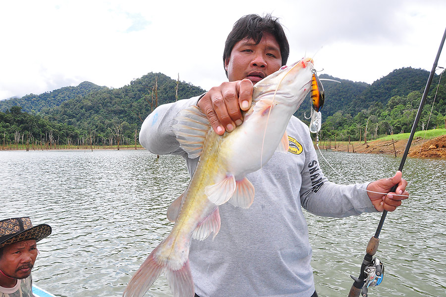 มีปลากดด้วย
 :smile: :smile: