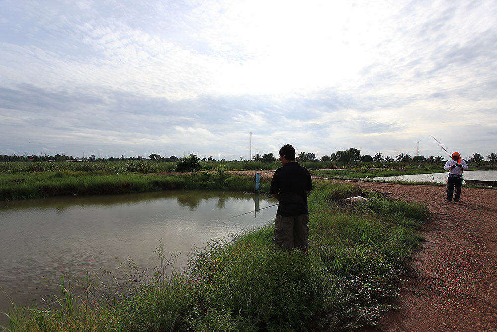 "แดดเปรี้ยงเลย"

หลังที่ฝนตกตลอดทั้งคืน เช้านี้แดดก็เริ่มจัดแล้ว :smile: