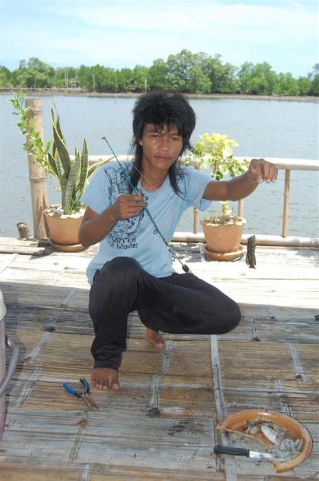  [center] [b]ปลาเขือของต้น[/b][/center]