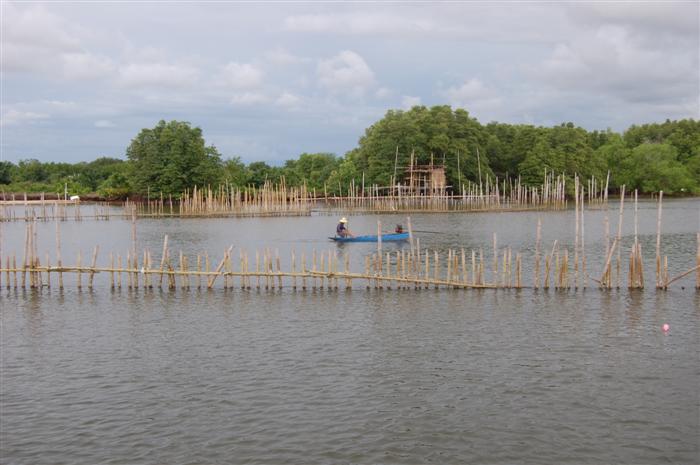  [center] [b]โพงพางเป็นหมายตกปลากระพงปลาข้างปานชั้นดีครับ มีเหยื่อกุ้งเป็นนั่งเรือค่อยๆหย่อนไปได้ตัว