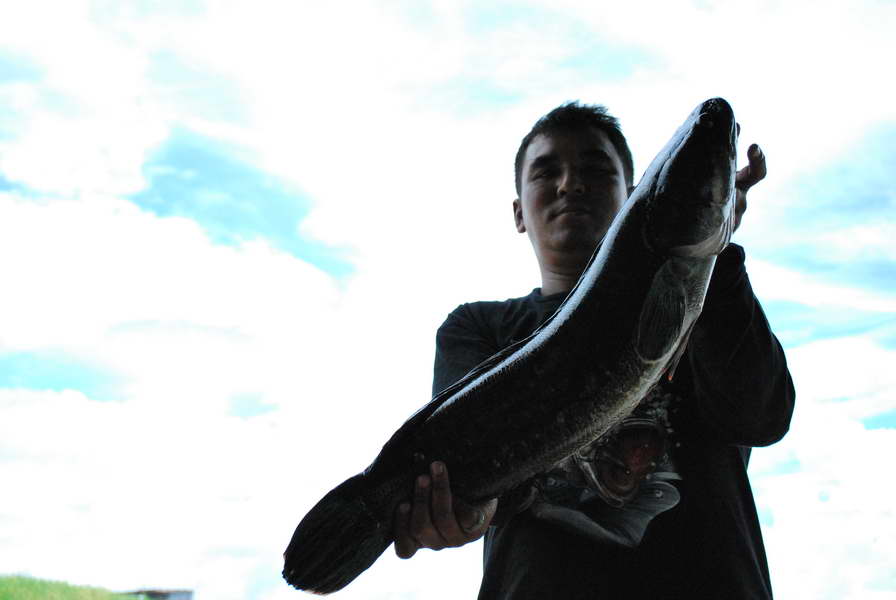 เอ้ยๆๆน้าโก้ๆๆๆๆได้ปลาครับ....แต่ตัวนี้ไปยืมปลาน้าจินมาถ่ายรูปครับ....ได้แต่เช้านอนมาเลย :cheer: :ch