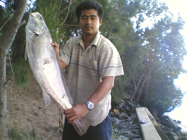 [q][i]อ้างถึง: sean3888 posted: 07-07-2553, 15:26:23[/i]


รอชมๆๆ....Jewfish ครับ........



