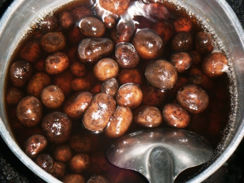 พอดีหน้าเห็ดเผาะครับ เลยต้มน้ำปลา ให้กินเล่นๆ ครับ  :grin: :grin: :grin: :grin: :grin: