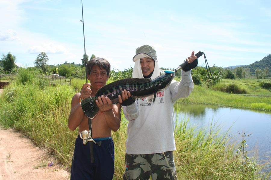 ขออภัยครับหนังขาดยาวเลย..........................
กองเชียร์ครับ.................ลุ้นตลอด...........