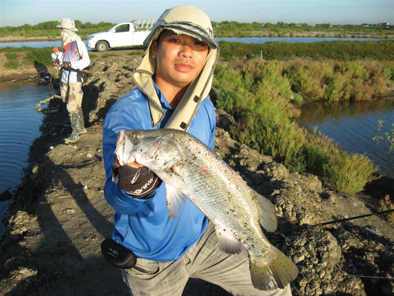 จัดใกล้ไปอีกรูปครับ  :cool: :cool: :cool: :cool: :cool: :cool: :cool: :cool:

