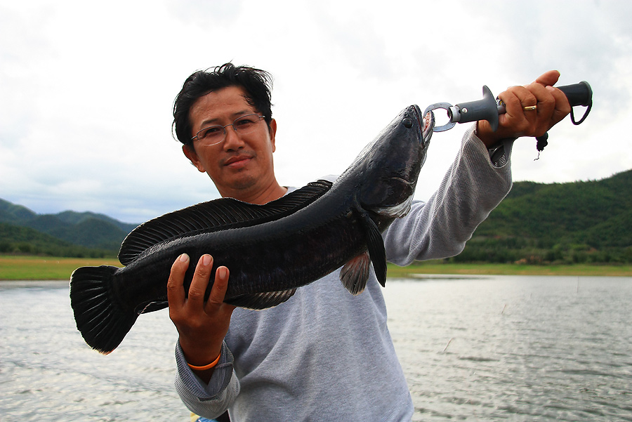 นับวัน ยิ่งหล่อ...แม้วัยล่วงไหลมาใกล้ 50
 :laughing: :laughing: :laughing: