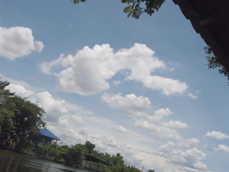 รอบกลางวันนี่ต้องขอยอมแพ้เลย..ปลากินยากจริงๆ..ผมมาได้ปลาก็เกือบเย็นๆหน่อย

ได้สวาย2ตัวกะบึกป๊อกอีก