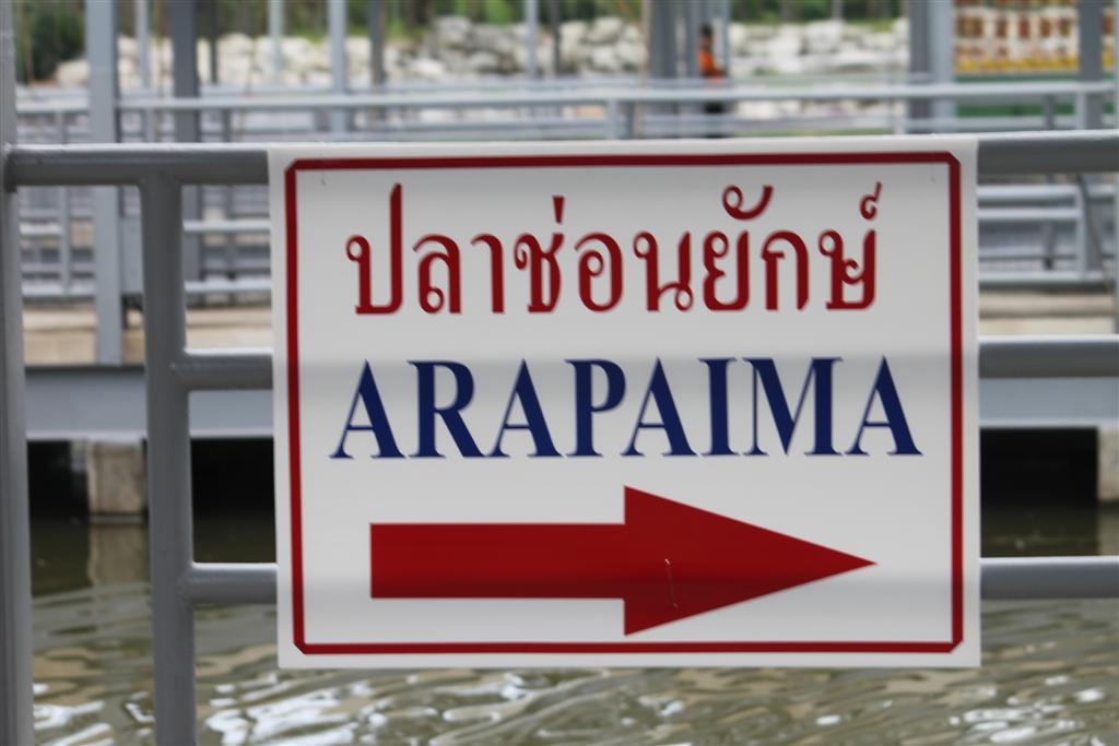  :grin:ไปตกปลาช่อนกันดีกว่า :laughing: :laughing: :laughing: