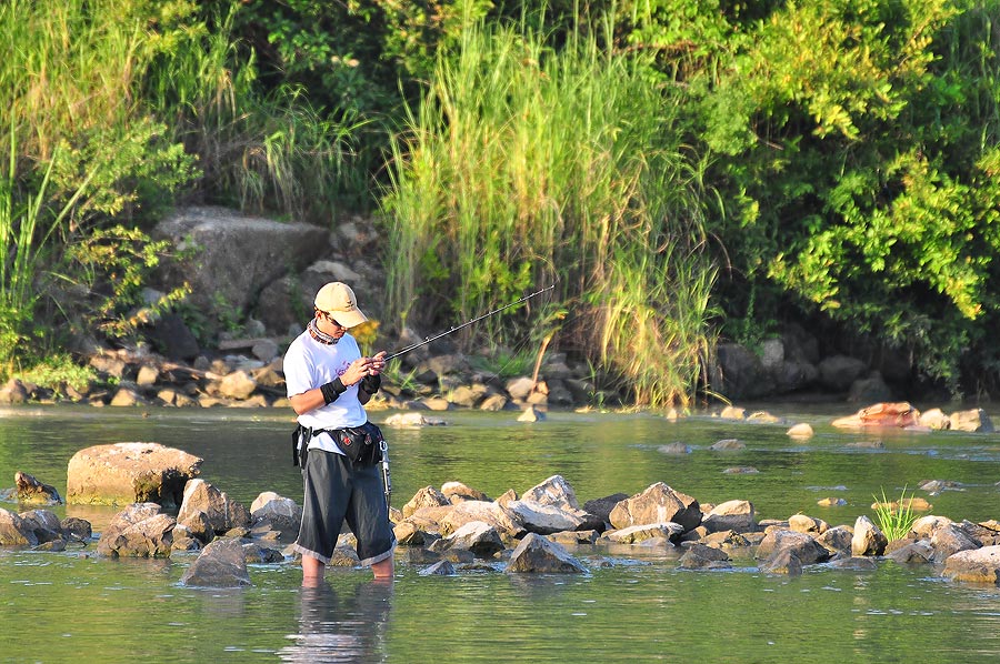 ต้องตรงที่นายเต๋าตีสิ น่าจะดีกว่าน