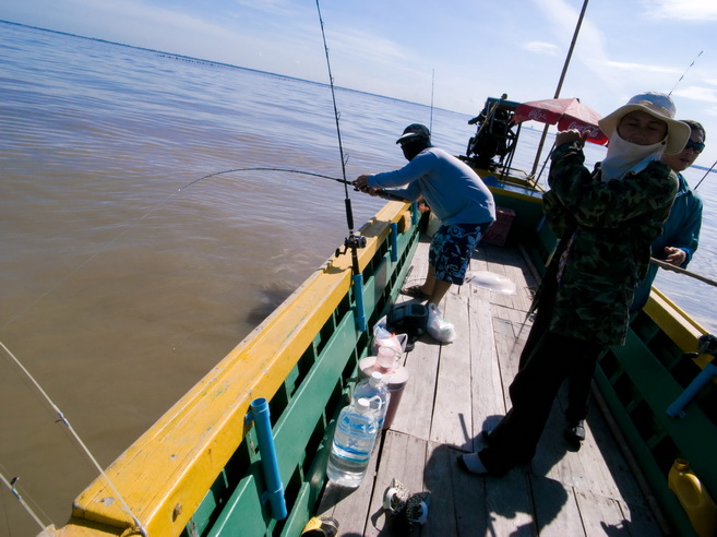 มันจะมุดเรือครับไต๋บอกว่าระวังใต้เรือเพลียงคมมาก เลยต้องส่งไปก่อน