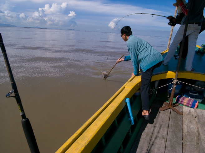 ขึ้นแล้วครับ ตัวที่2 แต่ขึ้นเรือ ตัวที่3  :laughing: