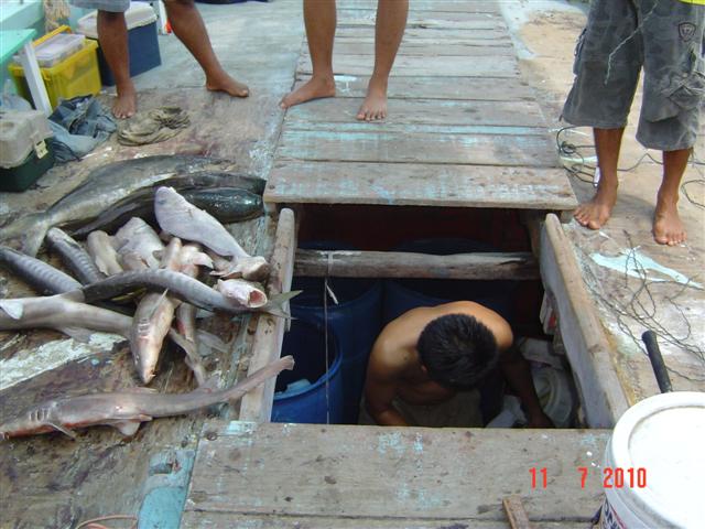 ทริพนี้ใช้แขกเป็นส่วนใหญ่ครับ ทั้งลงไปโกยปลา :laughing: :laughing: :laughing: :laughing: