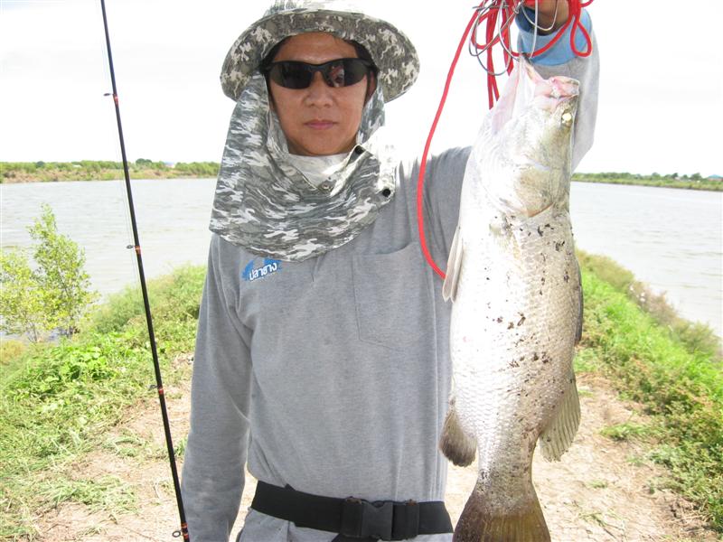 มาดูผลงานของ น้าบิ๊ก (BIG+FISH) คร๊าบ  :cool: :cool: :cool: :cool: :cool: :cool: :cool: