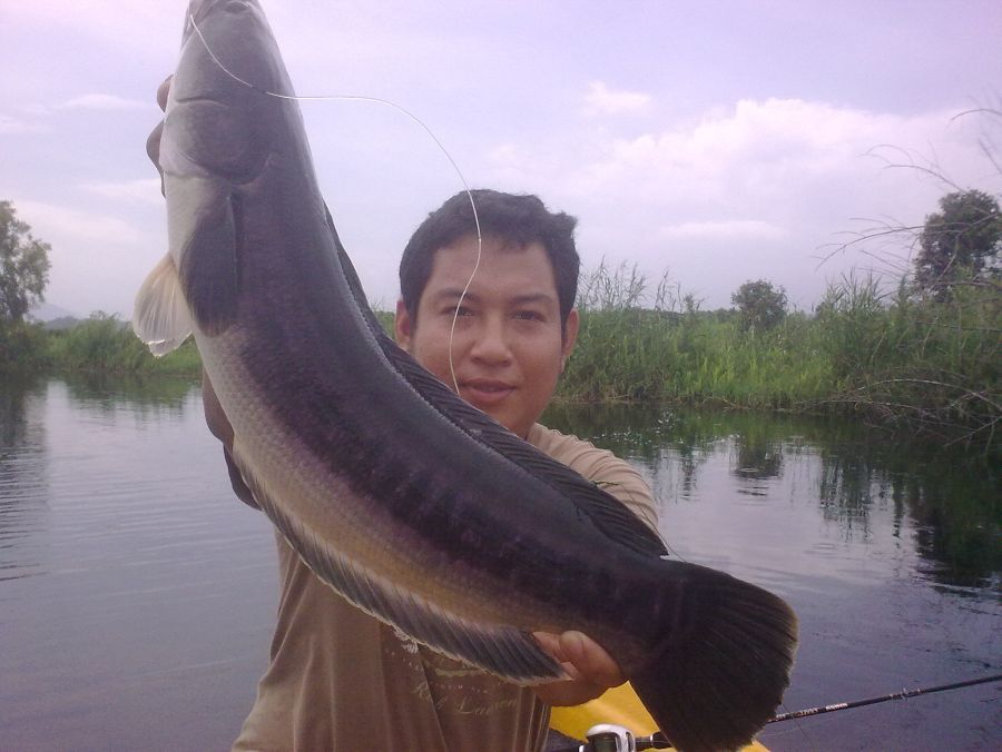 จัดไป :grin: