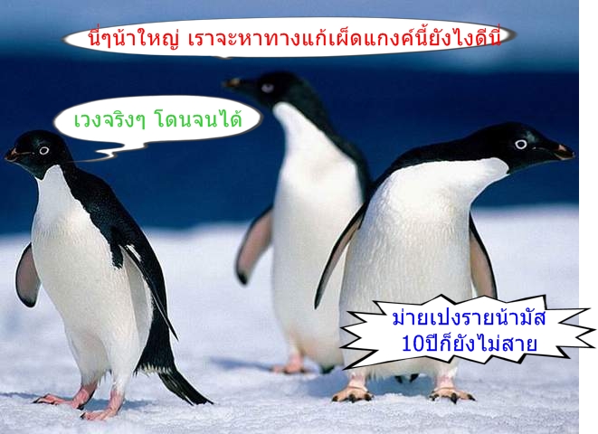  :laughing: :laughing: :laughing: :laughing: :laughing:
 [b]........... แค้นนี้ ต้องชำระ...........