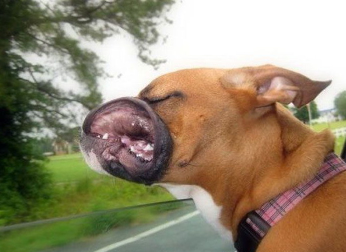 ของผมกำลังกินลมครับ :laughing: :laughing: :laughing: :laughing: