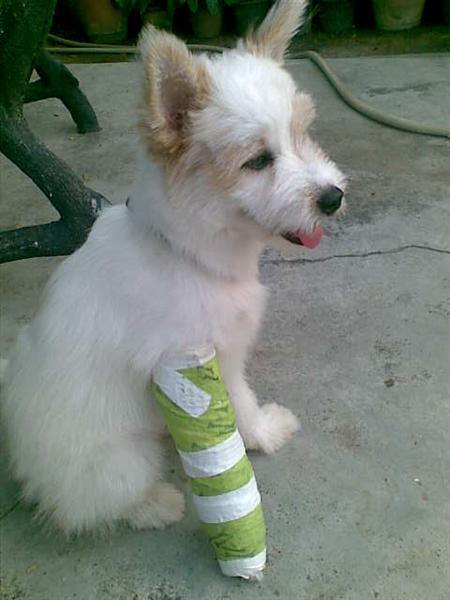 ลูกสาวคนเล็กข้าวตั้ง
 :cheer: :cheer: :cheer: :cheer: