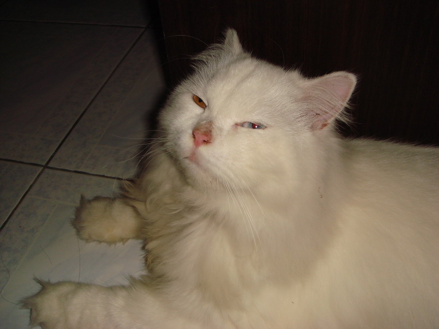



     อีกภาพครับ  :cheer: :cheer: :cheer: :cheer: :cheer: