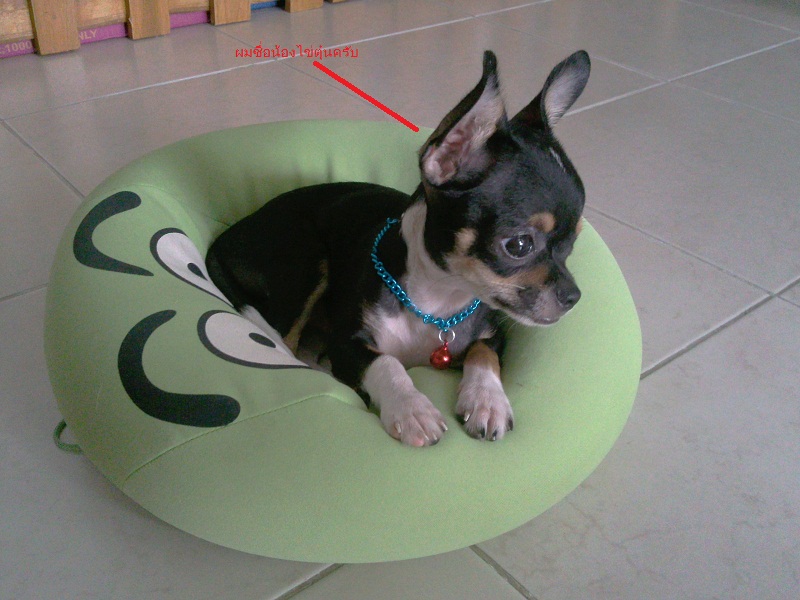 ลูกชายสุดที่รัก


 :love: :love: :love: :love: :love: