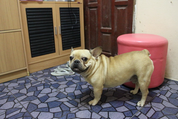 ลูกชายของผมครับ :laughing: