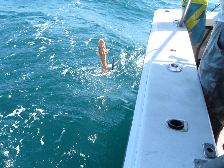 อีกฝากหนึ่งของเรือ
ฝรั่งก็ไม่ยอมน