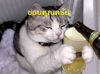 ผมชอบแมวครับ   รักมากๆ  รองจากภรรยาผม  อิ  อิ  อิ
