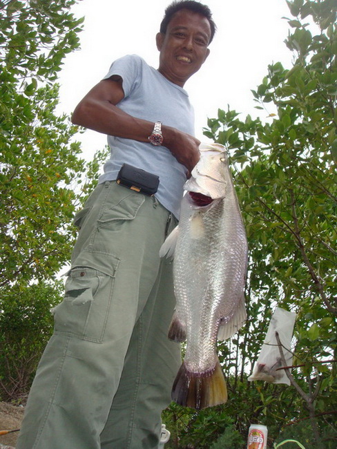 ภาพน้อยไปนิสสสส อาจจะไม่จุใจ  แต่มีของแถมครับ



 [center]ขอขอบคุณ siamfishing.com  เอื้อเฟื้อพื