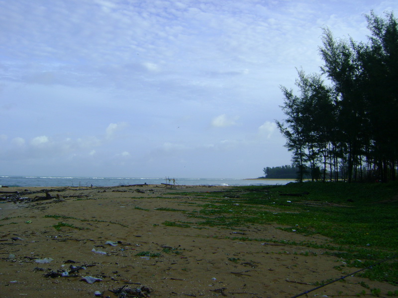 Surf ชายหาดสดๆร้อนๆได้ปลามาแกงหนึ่งหน่วย