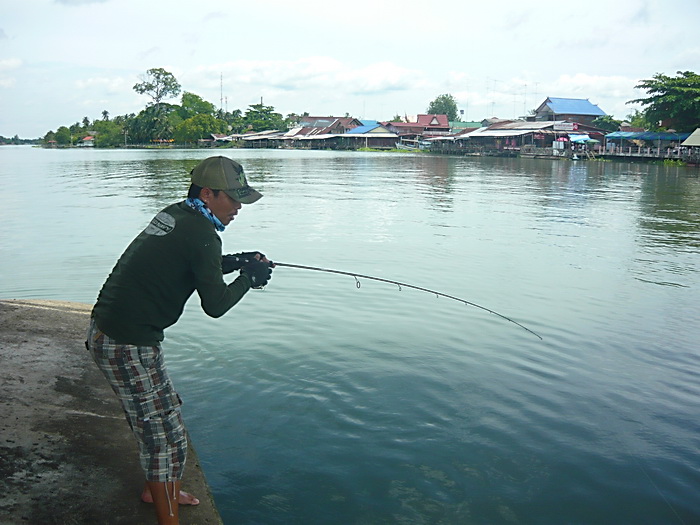 ลอยเรือตีรอบตอหม้อสะพานอยู่หลายรอบไม่โดนซักที  :mad: :mad:

เลยขึ้นไปหลบร้อนบนตอหม้อ :smile: :smil