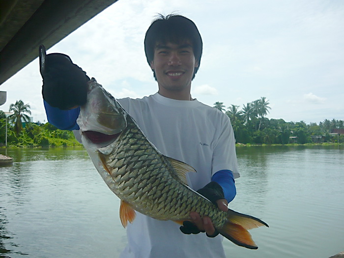 อะให้เจ้าเบียร์เป็นนายแบบละกัน :smile: :smile: :smile:
