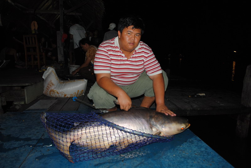 [q][i]อ้างถึง: meepanda372 posted: 20-07-2553, 17:32:24[/i]

น้าโนชเ