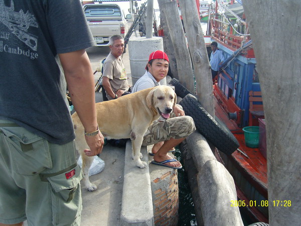 เจ้าฮิวโก้ ขาใหญ่ท่าเรือ แจมทุกทริป เพราะได้ขนมกิน
 :laughing: :laughing: :laughing: :laughing: :la