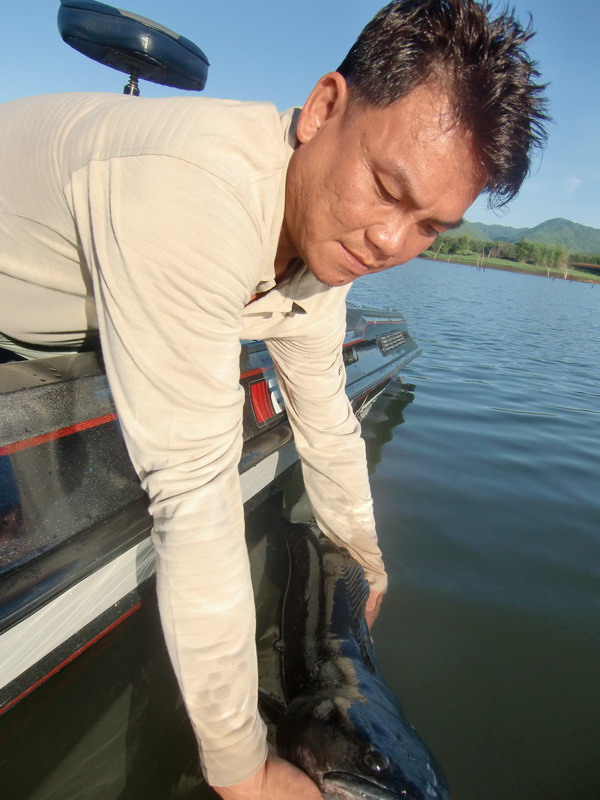 ปล่อยครับ
 :grin: :grin: