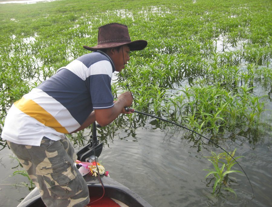 มุดท้องเรือด้วยตัวนี้ 