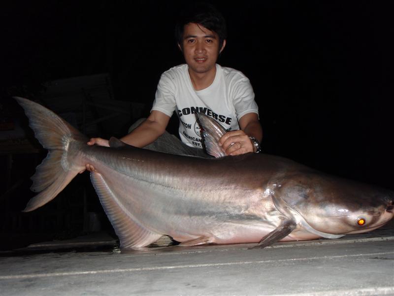 ประกาศ..ให้น้าๆทุกท่านทราบ..เนื่องจา