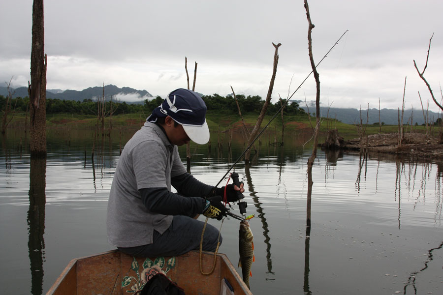 แกะนอกเรืออีก