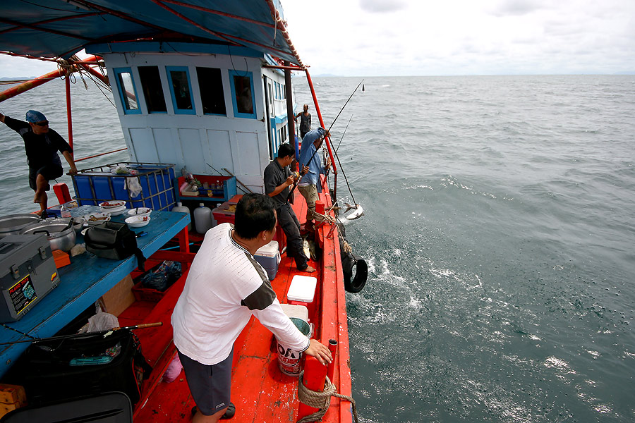 
 [b]  ไต๋เรือง  เกี่ยวไม่มีพลาด[/b]

 :grin: