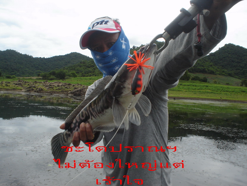  [b]มาชมหนังเรื่องที่สองกันต่อเลยครั