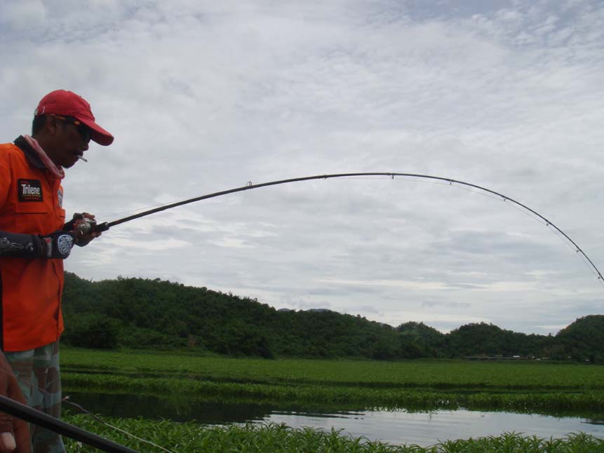 โอ้วววววว.....โค้งโก่งงอ............โอ้ว ๆ ๆ ๆ ................. :laughing: :laughing: