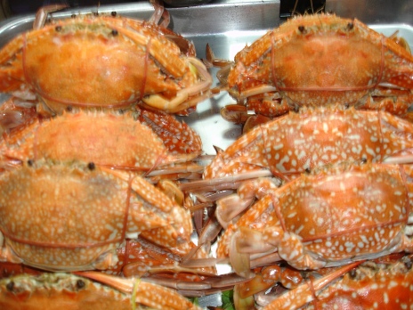 ปู