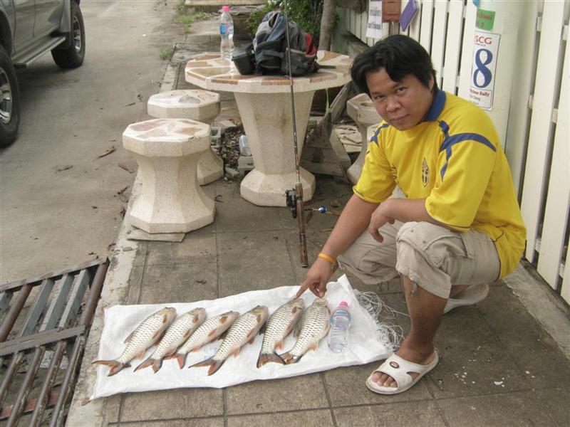ลากันด้วยภาพนี้  ขอบคุณน้า ๆ ทุก ๆ ท่