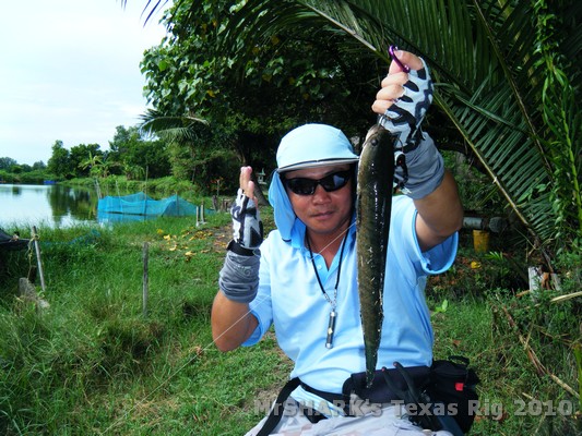 ก็ได้อย่างใจ  :cool: :cool: :cool: :cool: :cool: :cool: :smile: :smile: :smile: