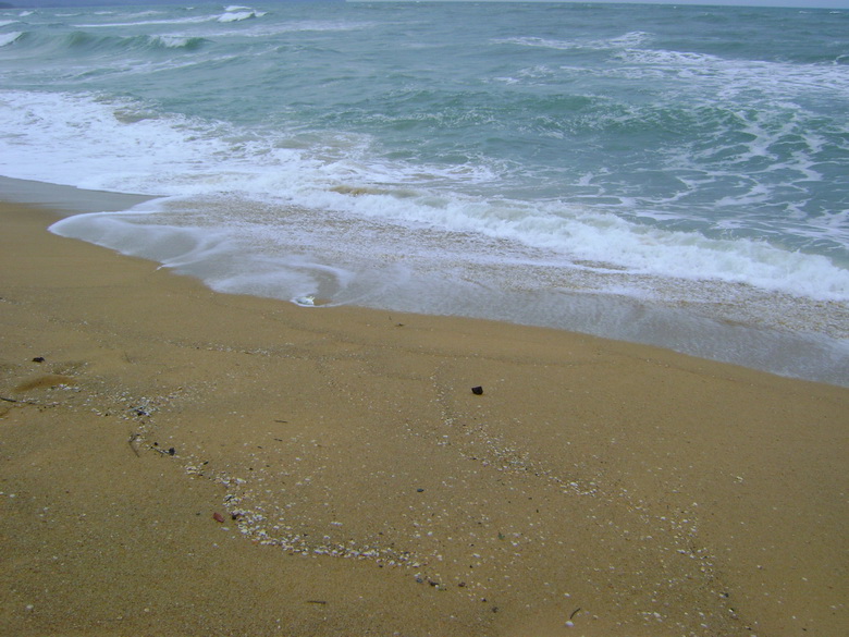 มาแว้ว มาแว้วปลามงชายหาดยามเช้า   เสียดายอยู่คนเดียว ถ่ายไปอัดไป ลำบากชิบ น้าหนุ่มน่ะ  มาช้าจริงๆ  