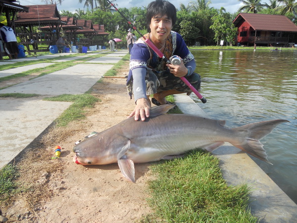 ขึ้นมาแล้ว