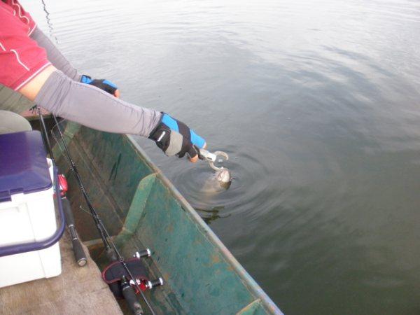 สุดท้ายและท้ายสุดครับ Catch And Release เชิญชวนน้าๆด้วยนะครับ.....ขอบคุณครับ   :cheer: :cheer: :chee