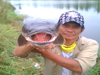 ......สวัดดีครับ...น้า...domesoft....ขอบคุณครับที
