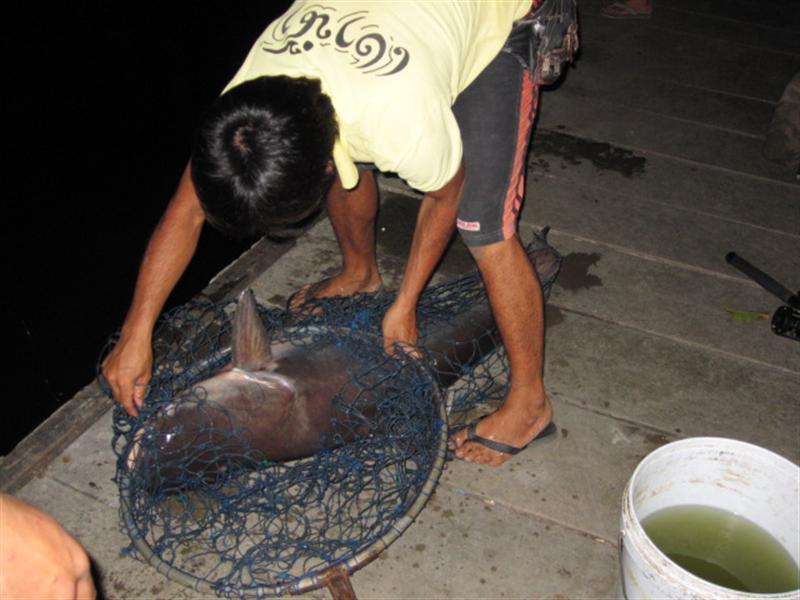 [q][i]อ้างถึง: sumet01 posted: 27-07-2553, 13:06:49[/i]

ตามชมครับ